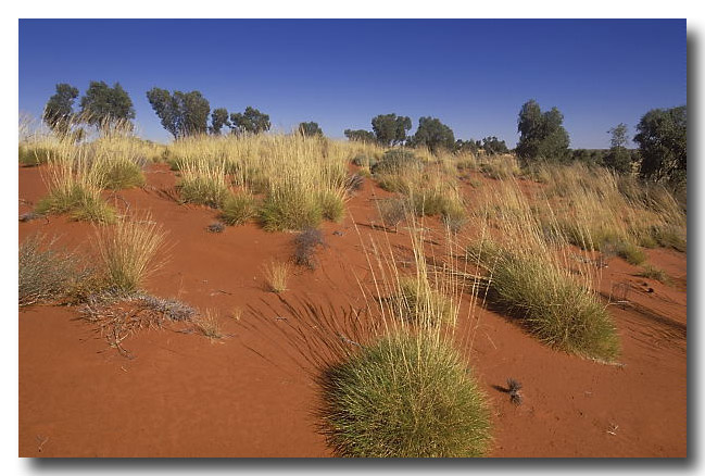 Pilbara, Great Sandy Desert - Lochman TransparenciesLochman Transparencies