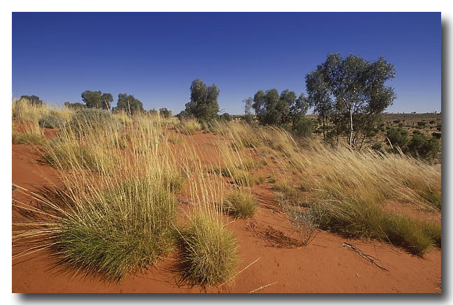 Pilbara, Great Sandy Desert - Lochman TransparenciesLochman Transparencies