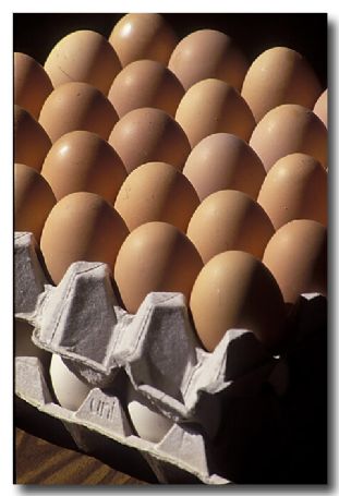 (EA-153) Chicken eggs