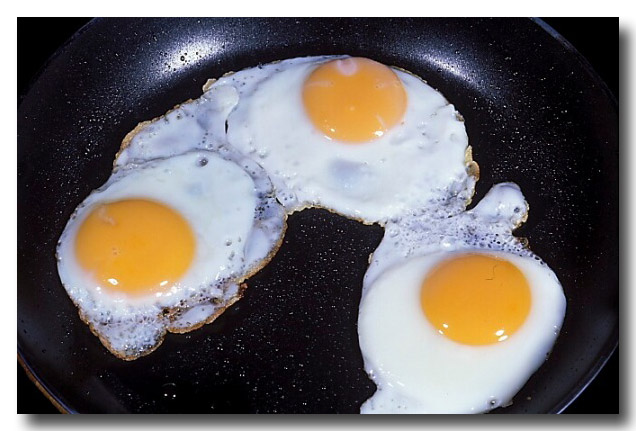 (EA-205) Chicken eggs – food