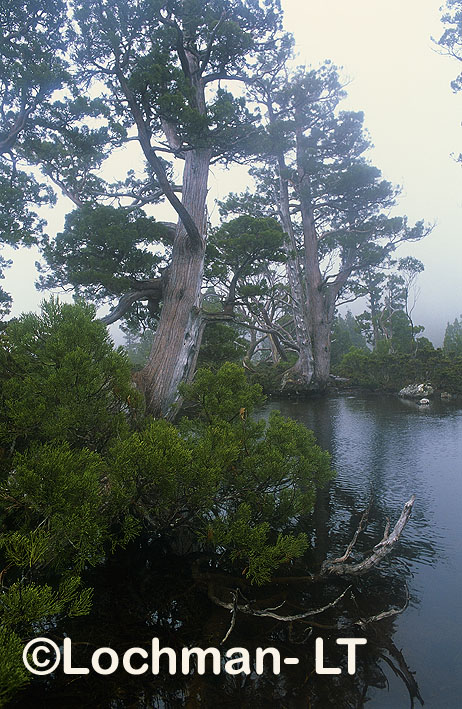 Cradle Mountain – Lake ST. Clair National Park – Barn Bluff with Artist’s Lake