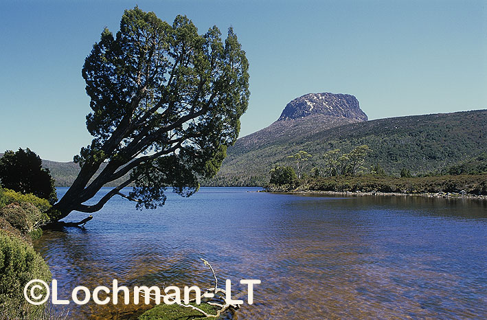 Cradle Mountain – Lake ST. Clair National Park – Barn Bluff with Lake Will