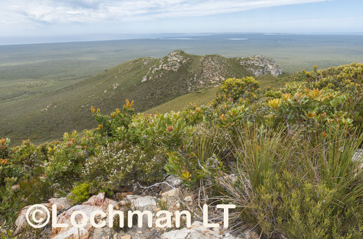 Fitzgerald River NP – view from West Mt. Barren