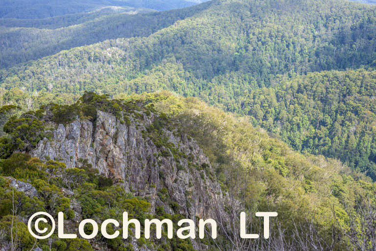 Tapin Tops National Park – Rowleys Lookout